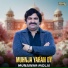 Munawar Molai