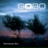 Gobo