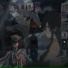 KILL MY SHADOWXRDV