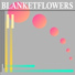 Blanketflowers