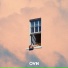 OVN