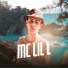 MC Lil L
