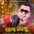 Santanu Sahu, Sailabhama Mohapatra