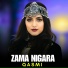 Qasmi