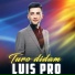 Luis Pro
