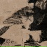 Surferosa