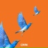 OVN