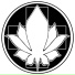 White Lotus
