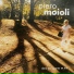 Piero Moioli