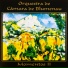 Orquestra De Câmara De Blumenau