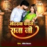 Vipin Vinayak