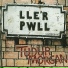 Tudur Morgan