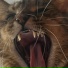 Showing Teeth