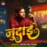 Aryan Raj Yadav