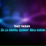 Said Hasan