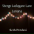Seth Perdesi