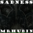 MRHUBIN