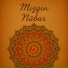 Mızgin