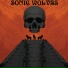 Sonic Wolves
