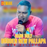 Brodin feat. New Pallapa