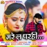 Hemlal Chaturvedi, Champa Nishad