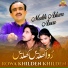 Malik Aslam Assar