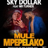 Sky Dollar feat. Mr Turner Thee Producer