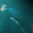 Venjent feat. JAX