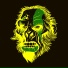 BSN BTZ