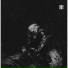 Endlec