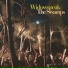 Widowspeak