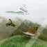 Relaxing Mode
