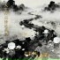 莉莉姐