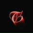 TERNII