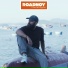 RoadNoy