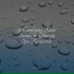Rain Sounds, Regen, Thunder and Rain Storm