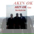 Akın Ok