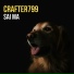 Crafter799