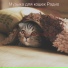 Музыка для кошек Радио