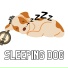 Sleeping Joe