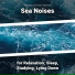 Relaxing Music, Ocean Sounds, Nature Sounds