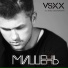 VSXX aka Влад Соколовский