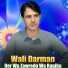 Wali Darman