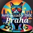 Ambassador DnX