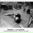 Barbaro