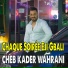 Cheb Kader Wahrani