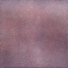 tr1dent