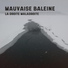 MAUVAISE BALEINE