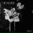 Cendre