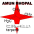 Amun Bhopal